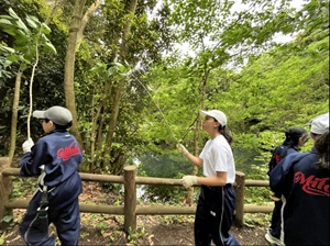 森づくり (3)